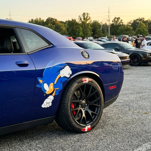 Sonic Decal